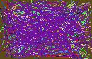 phone reverse lookup