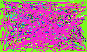 trace email